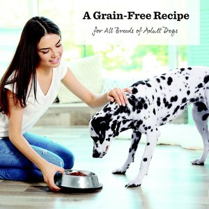 Dr. Pol Adult Limited Ingredient Surf-N-Turf Pate Canned Wet Dog Food, 12.5-oz can, case of 12