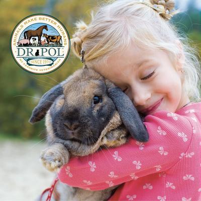 Show full view: Dr. Pol Healthy Balance Alfalfa Recipe Rabbit Feed, 30-lb bag slide 6 of 9