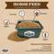 Show in main carousel: Dr. Pol Healthy Balance Maintenance Horse Feed, 40-lb bag slide 5 of 7
