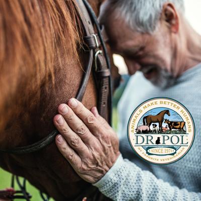 Show full view: Dr. Pol Healthy Balance Maintenance Horse Feed, 40-lb bag slide 6 of 7