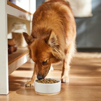 Show full view: Dr. Pol Healthy Balance Salmon Recipe Grain-Free Dry Dog Food, 4-lb bag slide 5 of 9