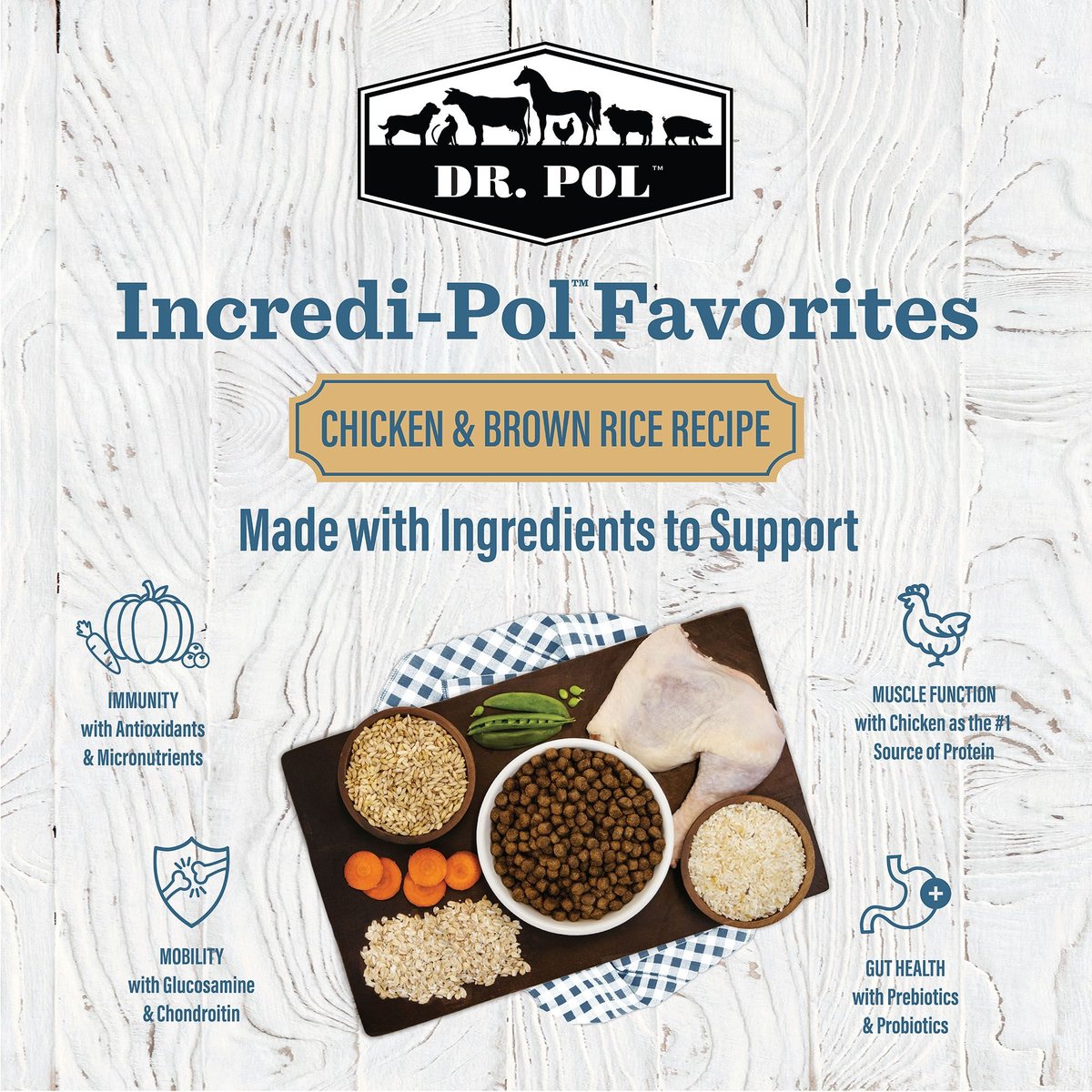 Dr. Pol Incredi-Pol Favorites Soft Chicken Flavored Dog Treat, 5-oz bag