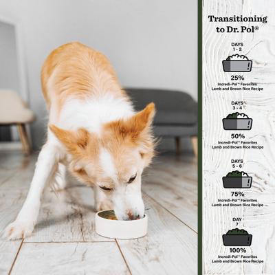 Show full view: Dr. Pol Incredi-Pol Favorites Lamb & Brown Rice Dog Food, 6-lb bag slide 5 of 7