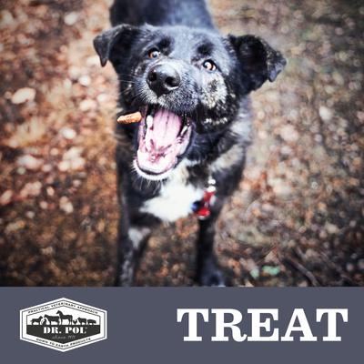 Show full view: Dr. Pol Salmon Munchies Grain-Free Freeze-Dried Raw Dog Treats, 8-oz. bag slide 7 of 10