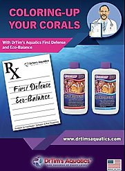 Dr. Tim's Aquatics Reef Eco-Balance Marine Aquarium Cleaner, 32-fl oz bottle slide 2 of 8