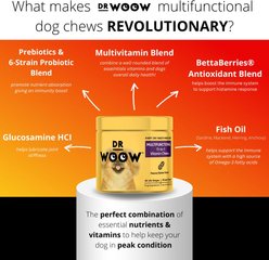 Dr Woow 11-in-1 Joint Peanut Butter Flavored Soft Chews Multivitamin for Dogs, 90 Count slide 2 of 8