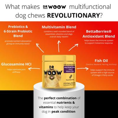 Show full view: Dr Woow 11-in-1 Joint Peanut Butter Flavored Soft Chews Multivitamin for Dogs, 90 Count slide 3 of 10