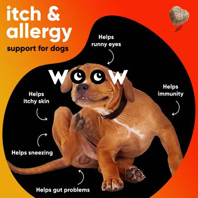 Show full view: Dr Woow Duck Flavored Soft Chew Allergy & Immune Supplement for Dogs, 90 count slide 4 of 10