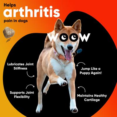 Show full view: Dr Woow Hip & Joint Lamb Flavored Soft Chew Joint Supplement for Dogs, 90 count slide 4 of 9