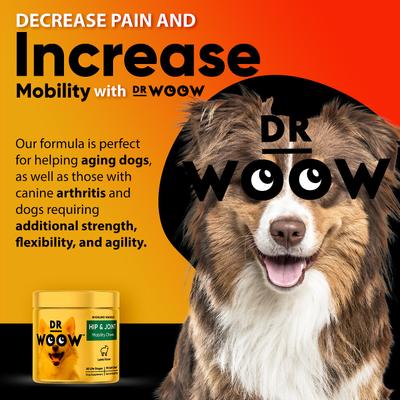 Show full view: Dr Woow Hip & Joint Lamb Flavored Soft Chew Joint Supplement for Dogs, 90 count slide 8 of 9