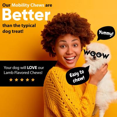 Show full view: Dr Woow Hip & Joint Lamb Flavored Soft Chew Joint Supplement for Dogs, 90 count slide 9 of 9