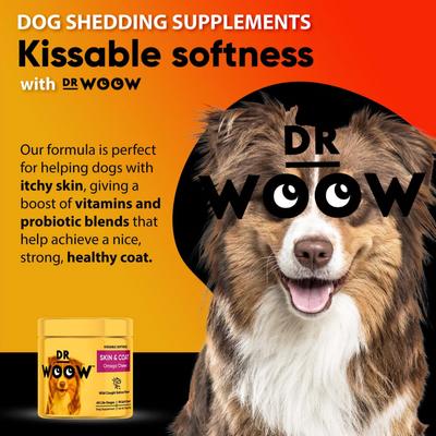 Show full view: Dr Woow Omega Chews Skin & Coat Salmon Flavored Supplement for Dogs, 90-count slide 8 of 9