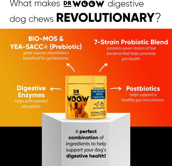 Dr Woow Pre, Pro & Post Biotics Duck & Pumpkin Flavor Soft Chew Digestion Supplement for Dogs, 90 count