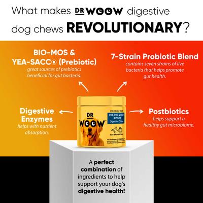 Show full view: Dr Woow Pre, Pro & Post Biotics Duck & Pumpkin Flavor Soft Chew Digestion Supplement for Dogs, 90 count slide 3 of 9