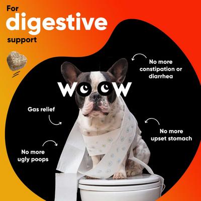 Show full view: Dr Woow Pre, Pro & Post Biotics Duck & Pumpkin Flavor Soft Chew Digestion Supplement for Dogs, 90 count slide 4 of 9