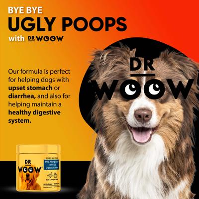 Show full view: Dr Woow Pre, Pro & Post Biotics Duck & Pumpkin Flavor Soft Chew Digestion Supplement for Dogs, 90 count slide 8 of 9