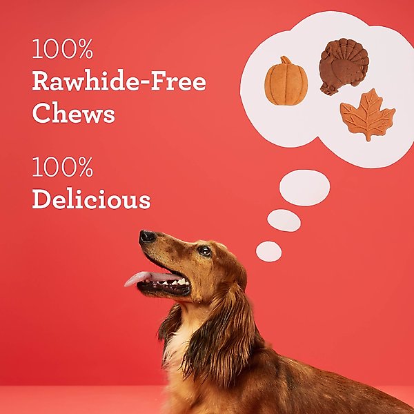 DreamBone Fall Harvest Variety Pack Real Turkey, Maple Bacon, & Pumpkin Spice Flavor Dog Chews