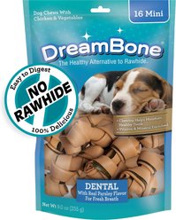 DreamBone Dental Real Chicken & Parsley for Fresh Breath Rawhide Free Dog Chew Bones, Mini, 16 count
