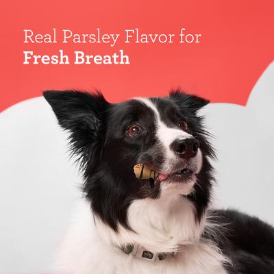 Show full view: DreamBone Dental Real Chicken & Parsley for Fresh Breath Rawhide Free Dog Chew Bones, Mini, 16 count slide 7 of 13