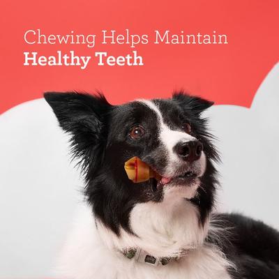 Show full view: DreamBone Real Peanut Butter Rawhide Free Dog Chew Bones, Mini, 80 count slide 8 of 11