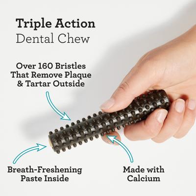 Show full view: DreamBone Triple Action Dental Sticks with Charcoal Spearmint Flavor Rawhide Free Dog Chews, Large, 6 count slide 4 of 12