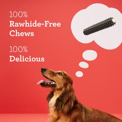 Show full view: DreamBone Triple Action Dental Sticks with Charcoal Spearmint Flavor Rawhide Free Dog Chews, Large, 6 count slide 6 of 12