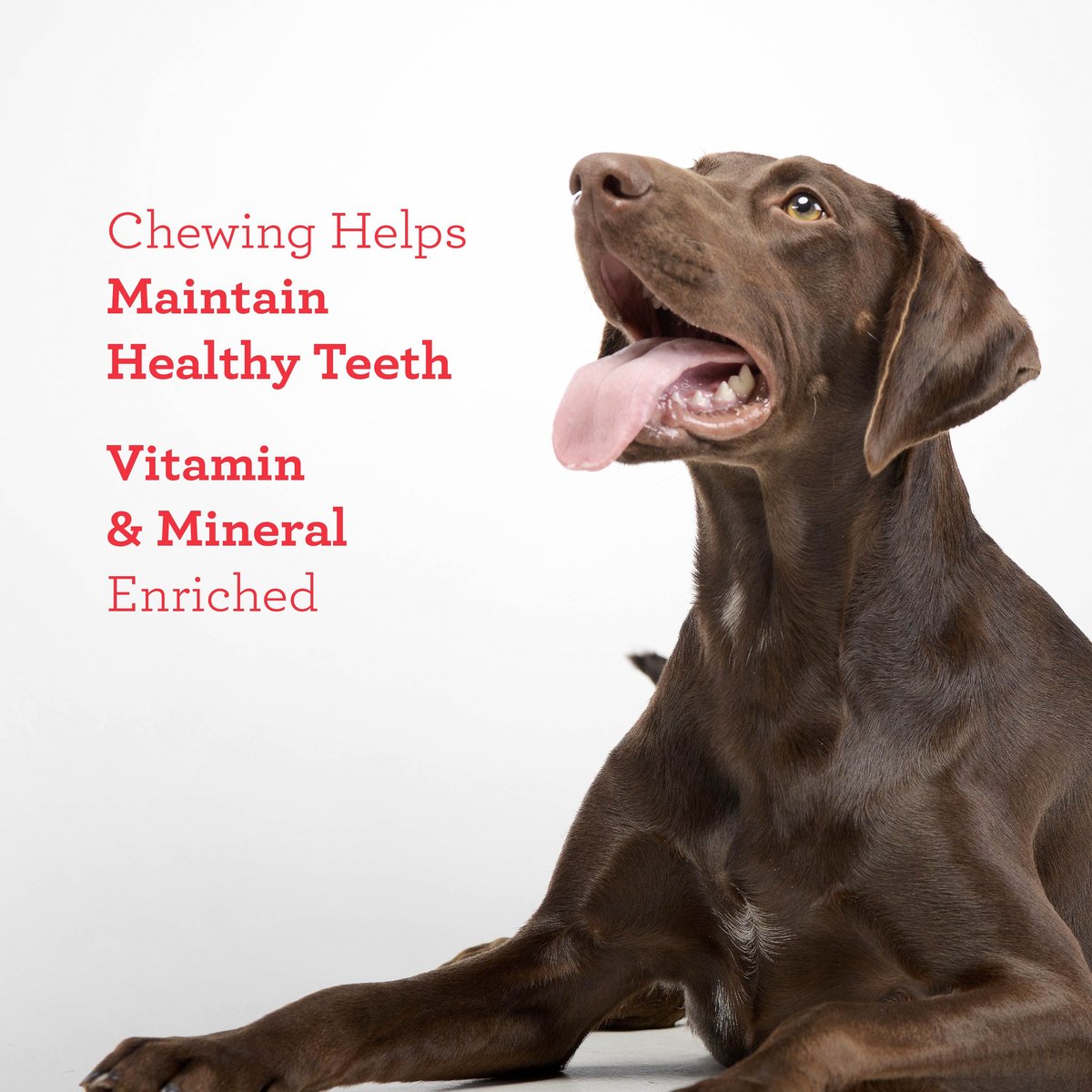 Wholesale Private Label Healthy Chicken Beef Flavor Bone Dog Chew Treats Teeth Cleaning Dental Care Natural Dog Treats