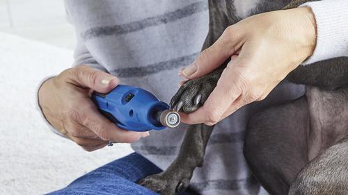 Show full view: Dremel 7350-PT Cordless Dog & Cat Rotary Nail Grinder Kit slide 2 of 10