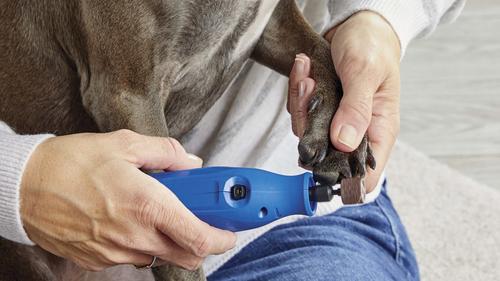 Show full view: Dremel 7350-PT Cordless Dog & Cat Rotary Nail Grinder Kit slide 3 of 10