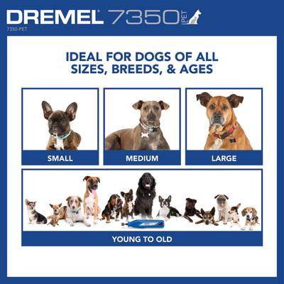Show full view: Dremel 7350-PT Cordless Dog & Cat Rotary Nail Grinder Kit slide 7 of 10