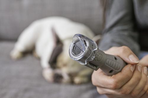 Show full view: Dremel Pet Grooming Nail Guard, AT02-PGK slide 5 of 6