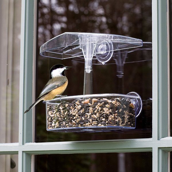 Droll Yankees Observer Window Bird Feeder, 7-in