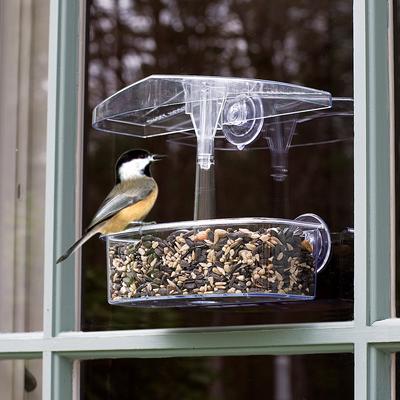Show full view: Droll Yankees Observer Window Bird Feeder, 7-in slide 4 of 7