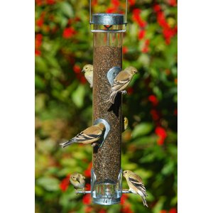 Droll Yankees Ring Pull Advantage Nyjer Seed Finch Bird Feeder, 16-in