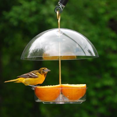 Show full view: Droll Yankees Seed Saver Domed Bird Feeder, 10-in slide 3 of 5