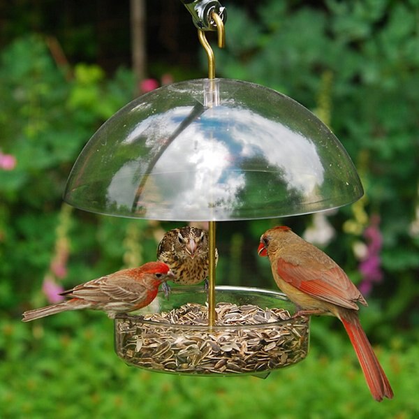 Droll Yankees Seed Saver Domed Bird Feeder, 10-in