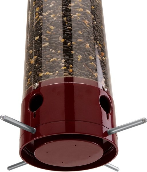 Droll Yankees Yankee Dipper Collapsing Straight Perch Bird Feeder, 21-in