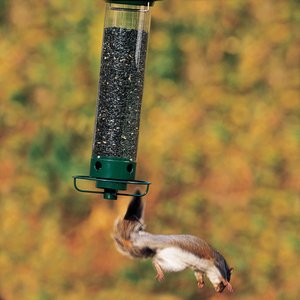 Droll Yankees Yankee Flipper Motorized Bird Feeder, 28.5-in