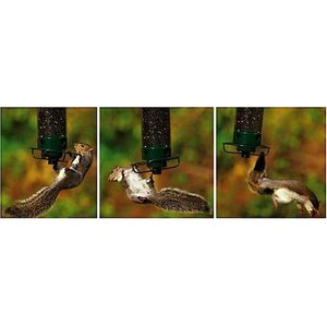 Droll Yankees Yankee Flipper Motorized Bird Feeder, 28.5-in