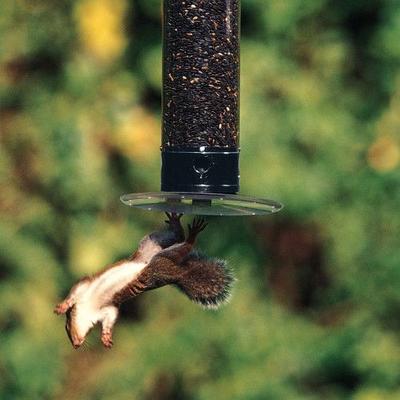 Show full view: Droll Yankees Yankee Tipper Collapsing Bird Feeder, 21-in slide 4 of 7