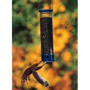 Droll Yankees Yankee Whipper Collapsing Curved Perch Bird Feeder, 21-in