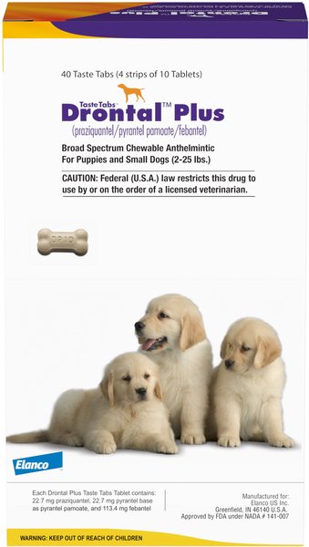 Drontal Plus Chewable Tablet for Small Dogs & Puppies, 2-25 lbs