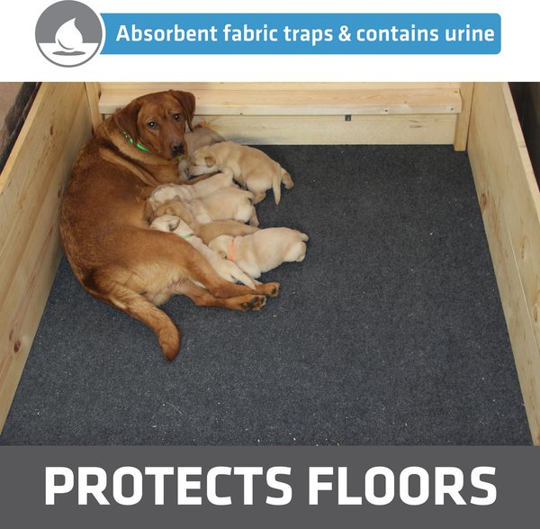 Show full view: Drymate Dog & Cat Whelping Box Mat, Washable Puppy Training Pee Pad, Large: 48 x 50-in slide 2 of 9