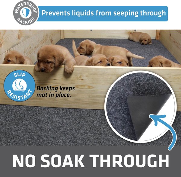 Show full view: Drymate Dog & Cat Whelping Box Mat, Washable Puppy Training Pee Pad, Large: 48 x 50-in slide 3 of 9