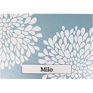 Drymate Personalized Cat Litter Mat, 20x28-in, Rejuvenation Blue