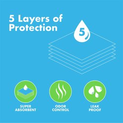Duke-N-Boots Dog Pee Pads with Adhesive Backing, Medium, 15 count slide 2 of 4