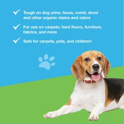 Duke-N-Boots Enzymatic Dog, Cat & Small Pet Stain Remover & Deodorizer Spray, 16-fl oz bottle slide 2 of 2