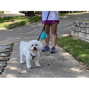 Dumper Cables Dog Waste Bag Holder, 2 count