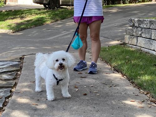 Show full view: Dumper Cables Dog Waste Bag Holder, 2 count slide 5 of 5