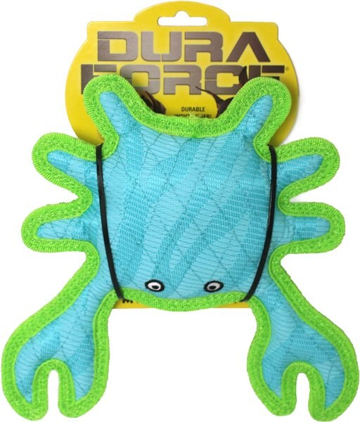 DuraForce Crab Tiger Squeaky Plush Dog Toy, Blue/Green